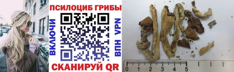 Псилоцибиновые грибы мухоморы  купить наркотик  блэк спрут как зайти  Микунь 